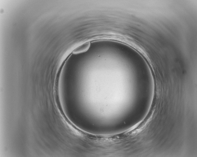 X0000059831533200510241408