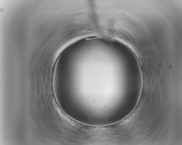 X0000059831534200510241408