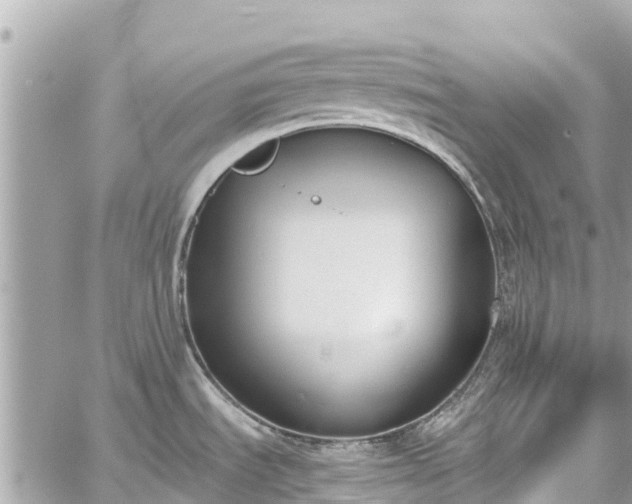 X0000059831535200510241408