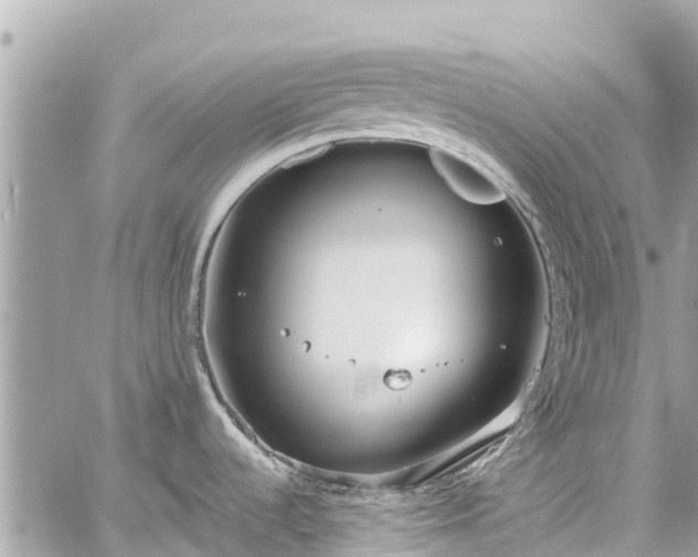 X0000059831536200510241408