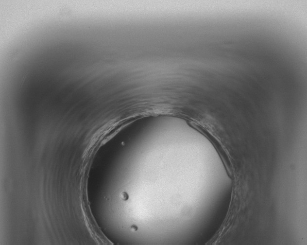 X0000059830001200510281810