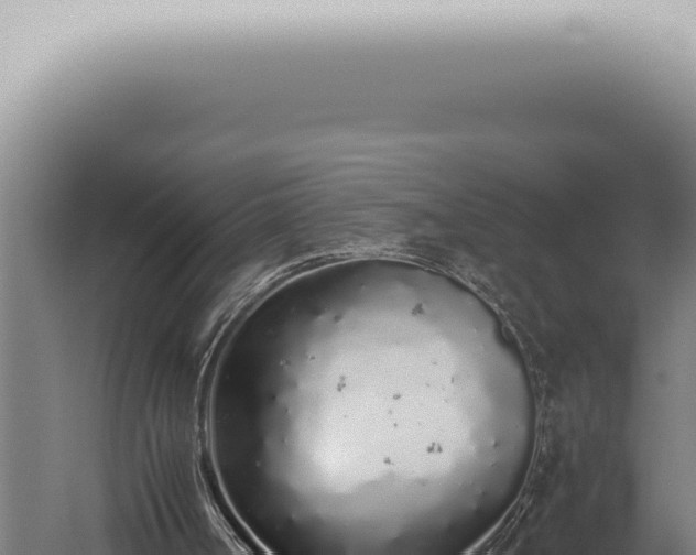 X0000059830002200510281810