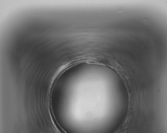 X0000059830003200510281810