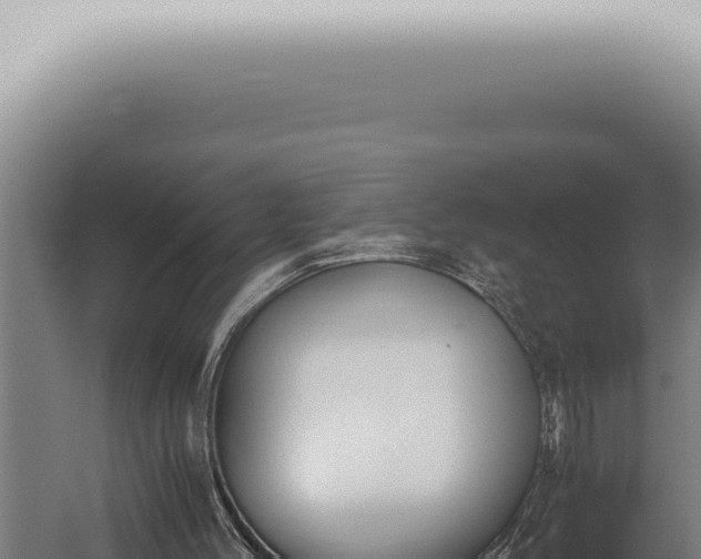 X0000059830004200510281810