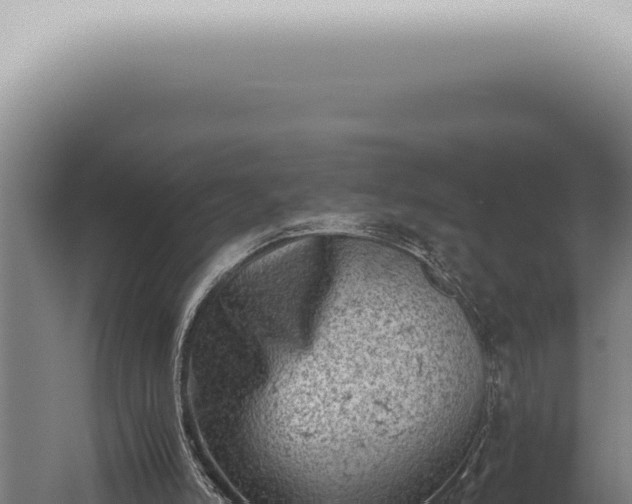 X0000059830006200510281810