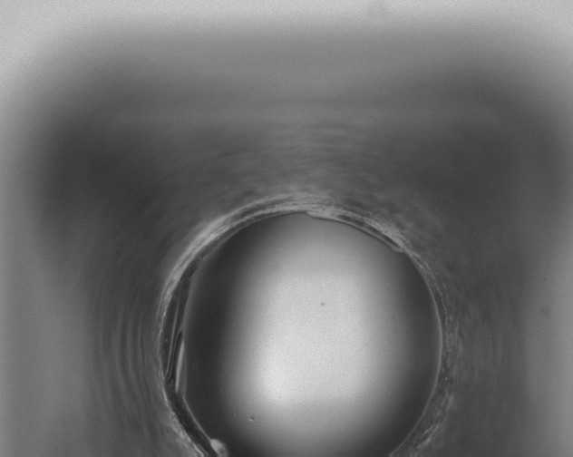 X0000059830007200510281810