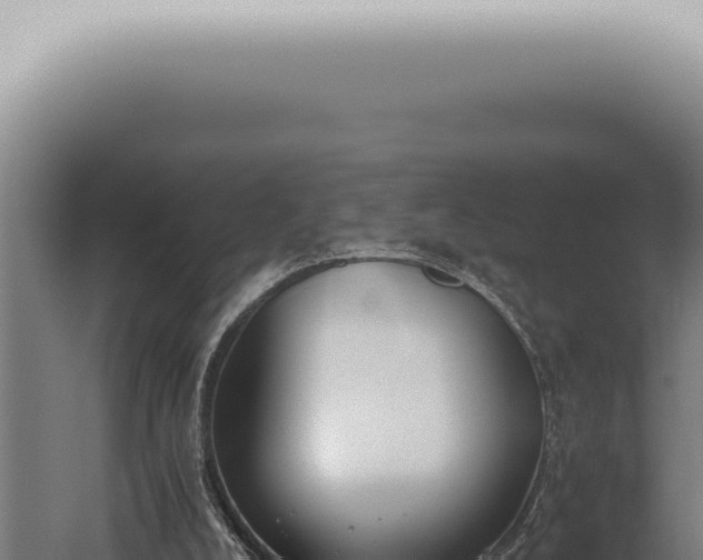 X0000059830008200510281810