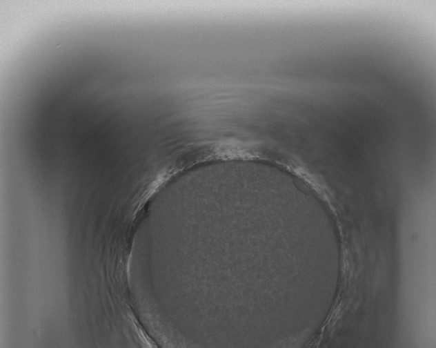 X0000059830009200510281810