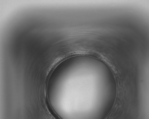 X0000059830011200510281810