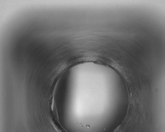 X0000059830013200510281810