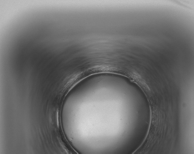 X0000059830014200510281810