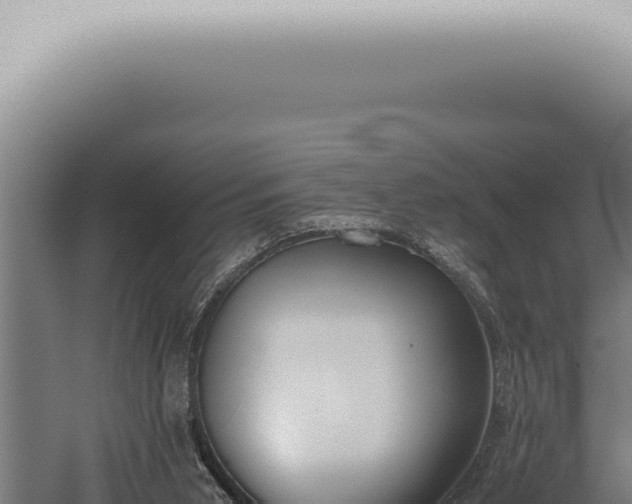 X0000059830015200510281810