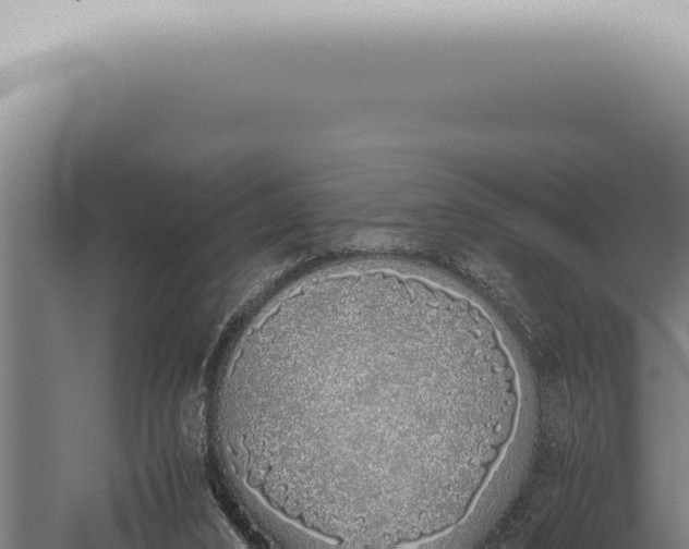 X0000059830016200510281810