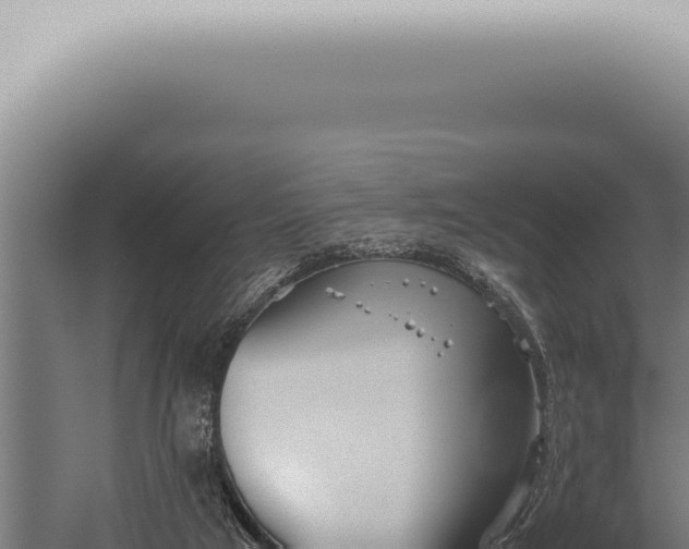 X0000059830017200510281810