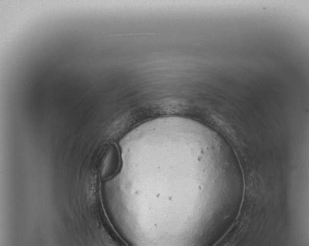 X0000059830018200510281810