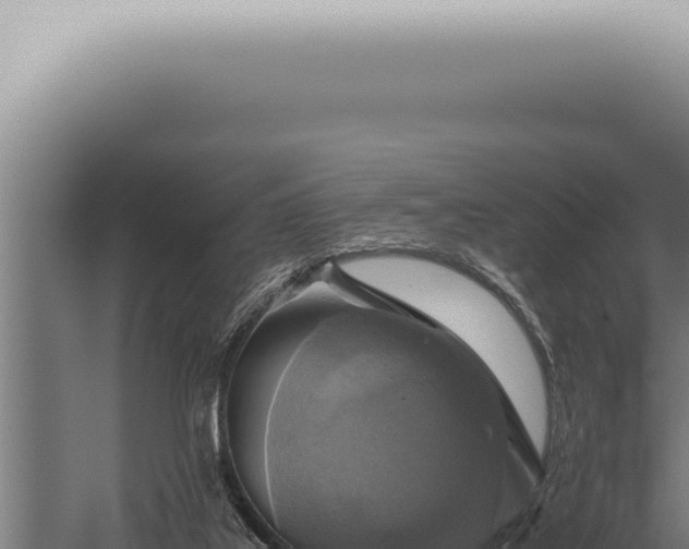 X0000059830019200510281810