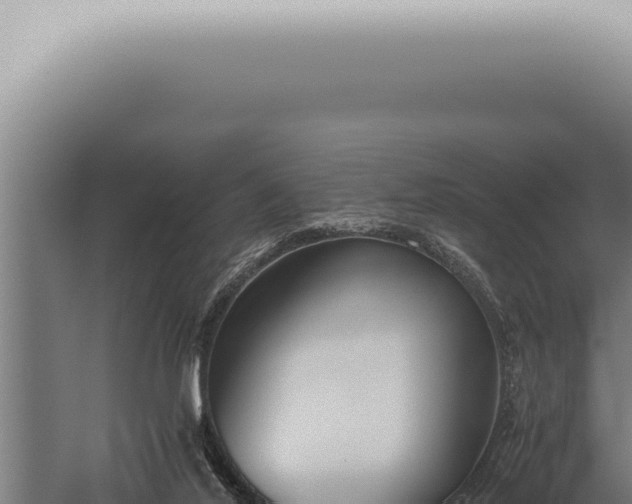 X0000059830020200510281810