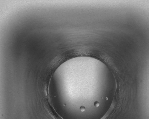 X0000059830021200510281810