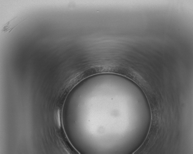 X0000059830022200510281810