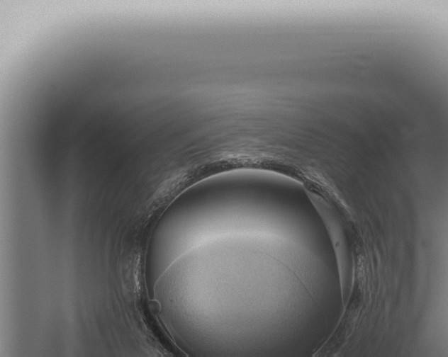 X0000059830023200510281810