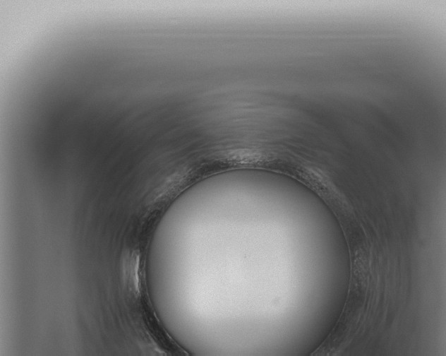 X0000059830024200510281810