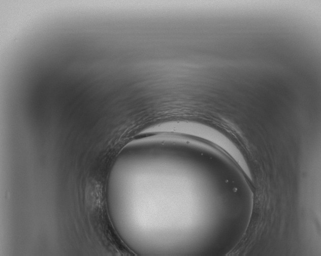 X0000059830025200510281810