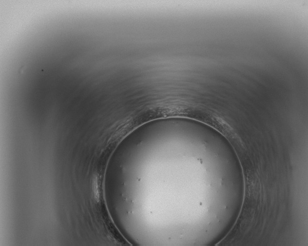 X0000059830026200510281810