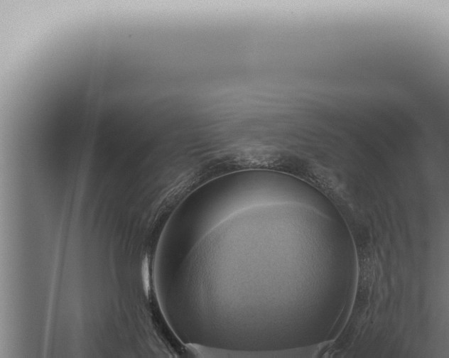 X0000059830027200510281810