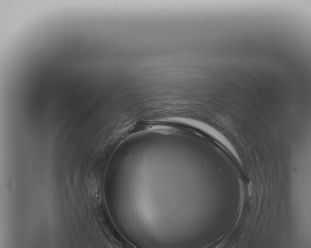 X0000059830031200510281810