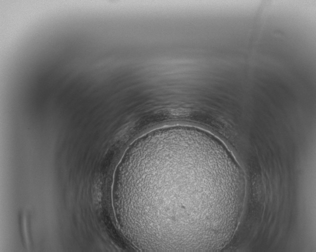 X0000059830032200510281810