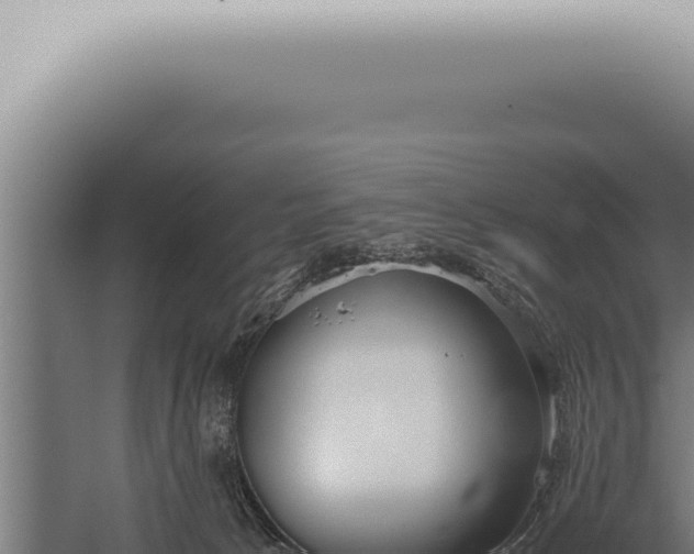 X0000059830033200510281810