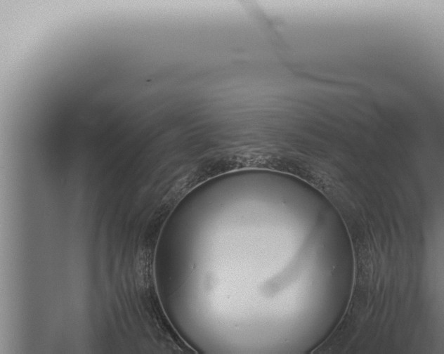 X0000059830034200510281810