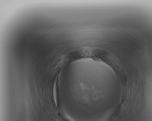 X0000059830035200510281810