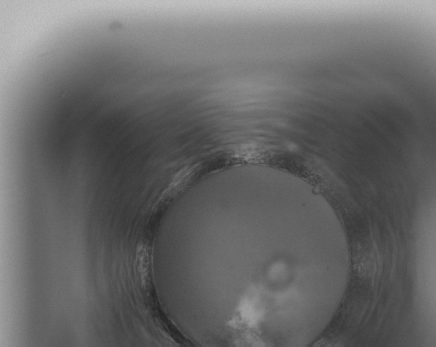 X0000059830036200510281809