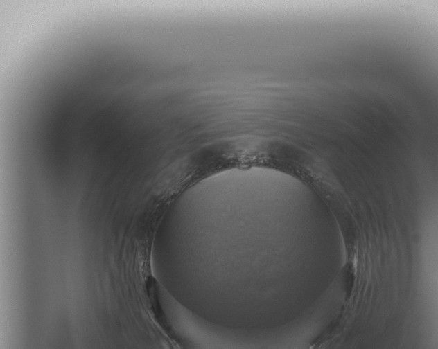 X0000059830039200510281809