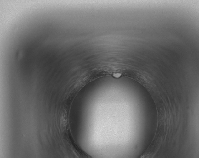 X0000059830040200510281809