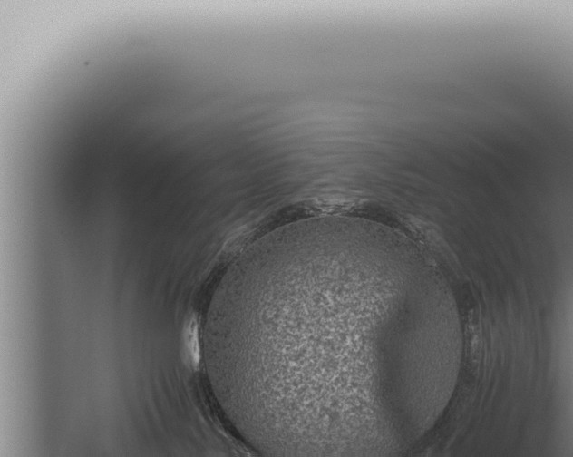 X0000059830042200510281809