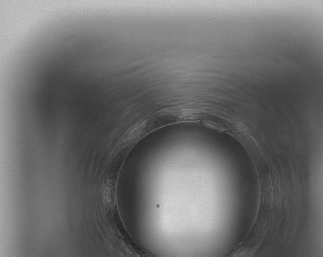 X0000059830044200510281809