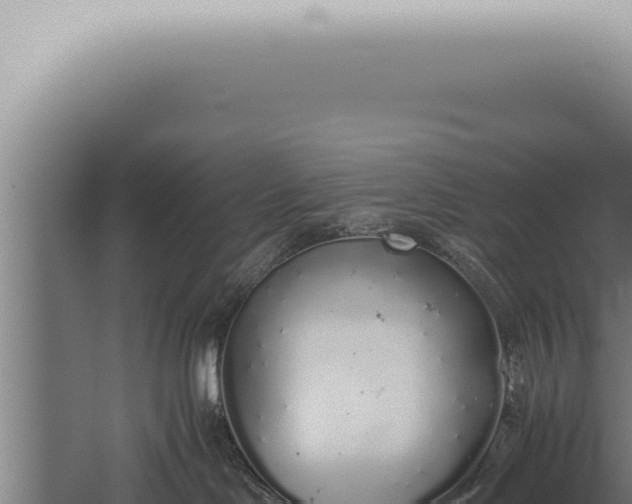 X0000059830046200510281809