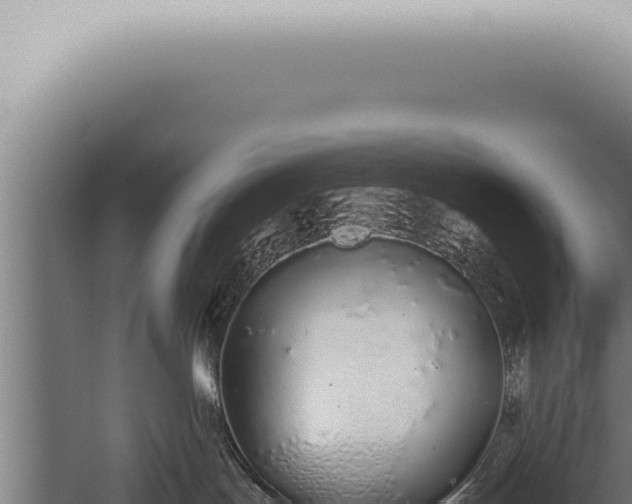 X0000059830047200510281809