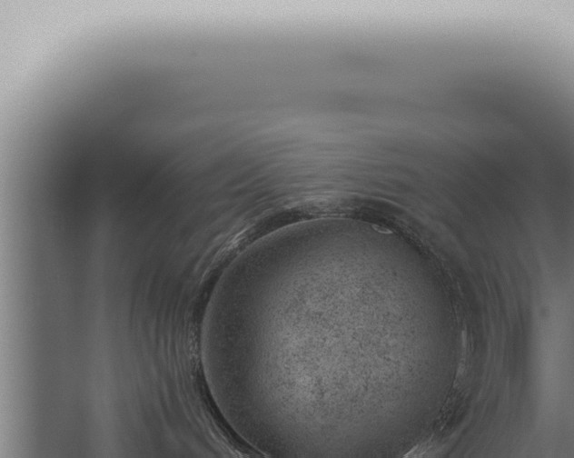 X0000059830048200510281809