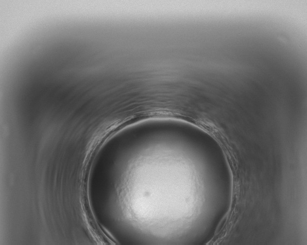 X0000059830049200510281808