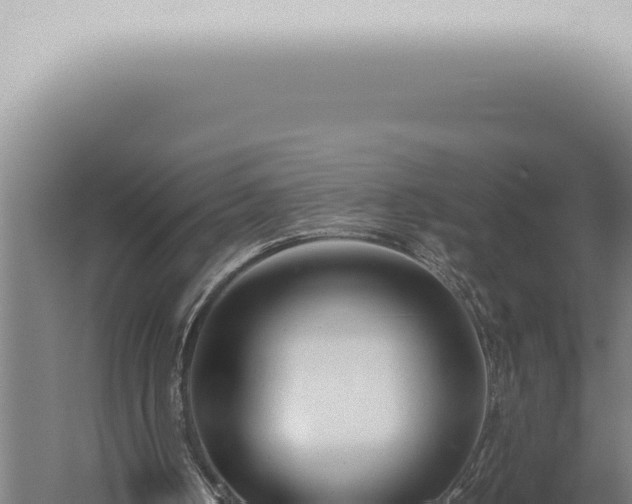 X0000059830050200510281808