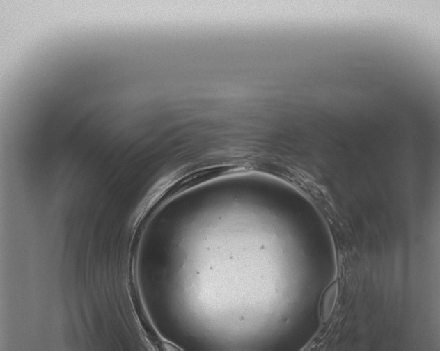 X0000059830051200510281808