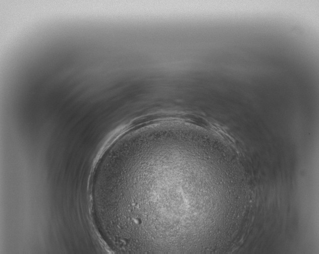 X0000059830053200510281808