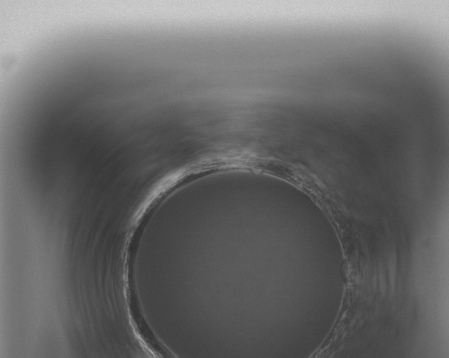 X0000059830054200510281808