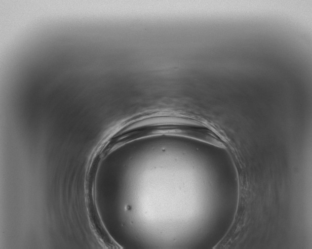 X0000059830055200510281808