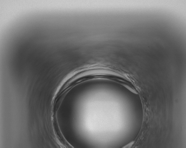 X0000059830056200510281808