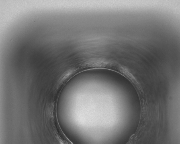 X0000059830058200510281808