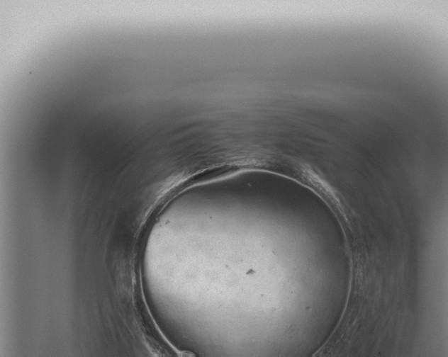 X0000059830059200510281808